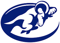 SV LOGO SV LOGO